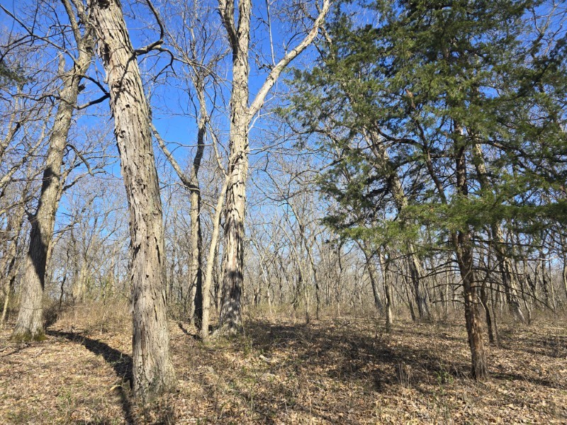Listing photo 18